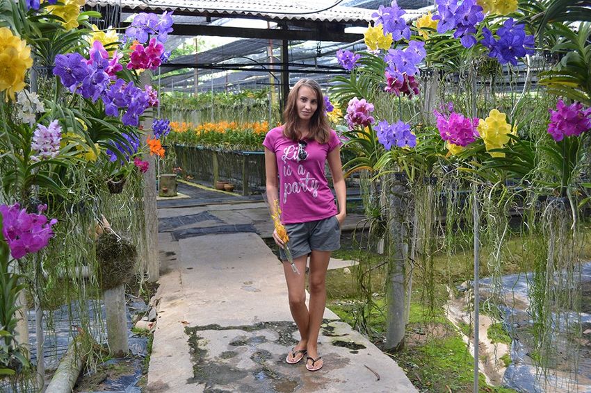 29 Сад орхидей на Пхукете.jpg