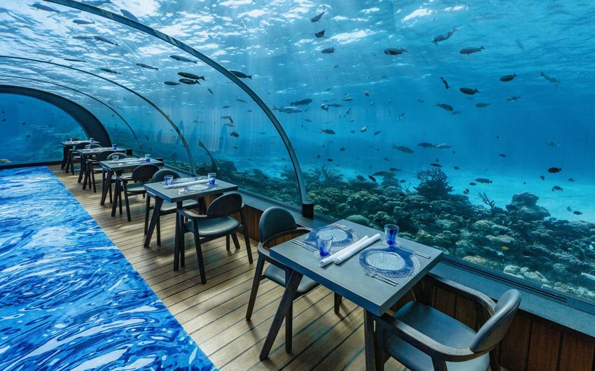 1-5 Подводный ресторан Hurawalhi Island Resort Maldives.jpg