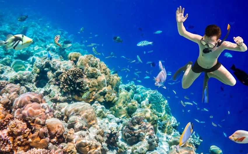 4-3 Снорклинг на Мальдивах.jpg