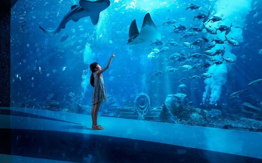3-5 Lost Chambers- океанариум в Atlantis The Palm Hotel.jpg