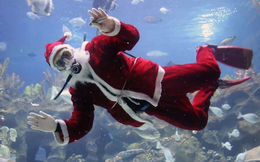 3-1 Дед Мороза в ластах.jpg