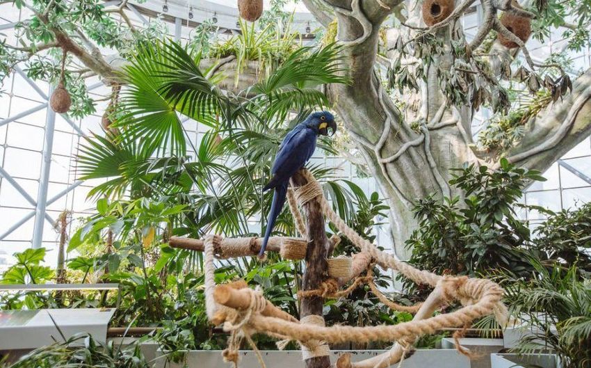 3-21 Ботанический сад Зеленая планета рядом с ТЦ City Walk.jpg 3-21 Ботанический сад Зеленая планета рядом с ТЦ City Walk.jpg