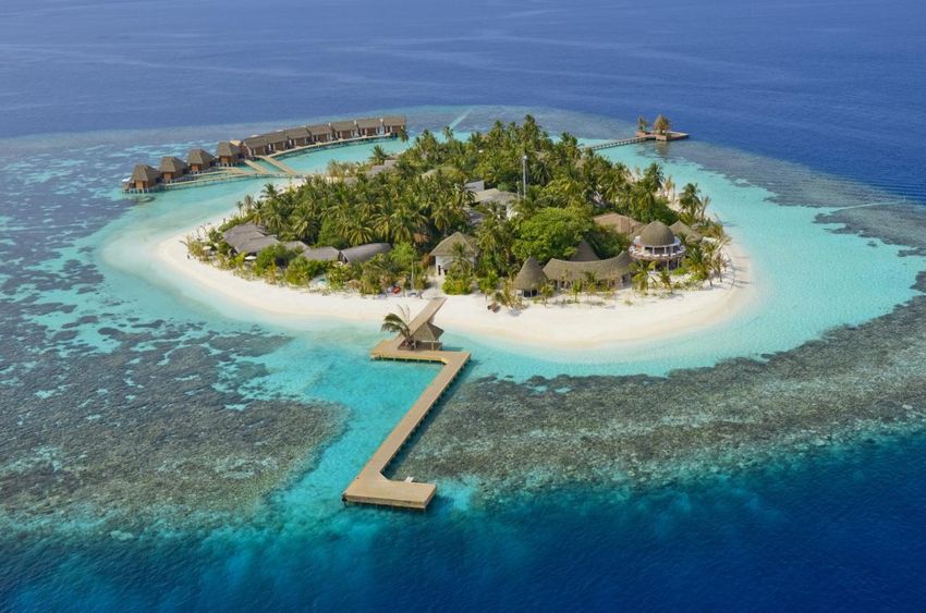1 Домашний риф Kandolhu Maldives.jpg
