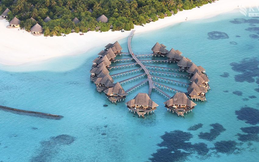 3-5 Coco Palm Dhuni Kolhu.jpg