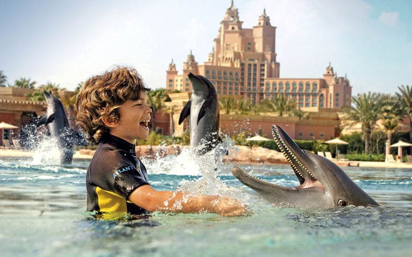 3-7 Дельфинарий Dolphin Bay.jpg 3-7 Дельфинарий Dolphin Bay.jpg