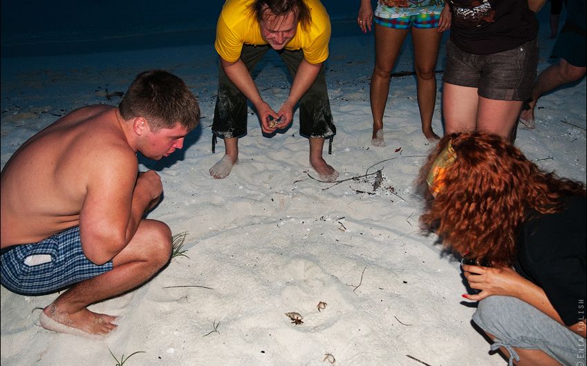 5-4 Крабьи бега.jpg