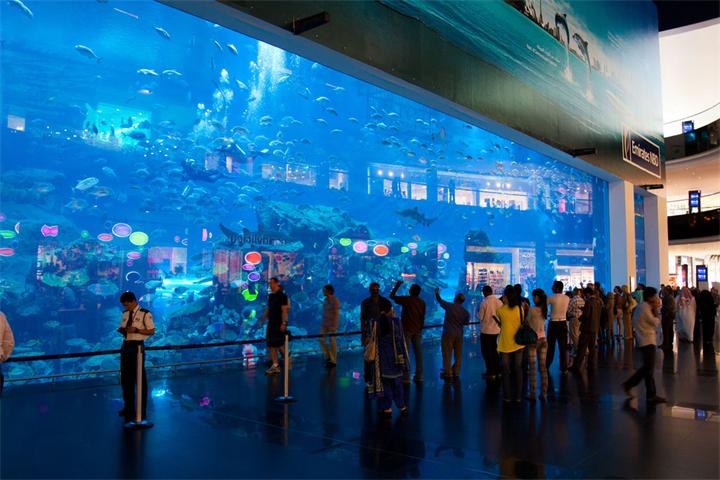 Akvarium-v-Dubay-Moll.jpg