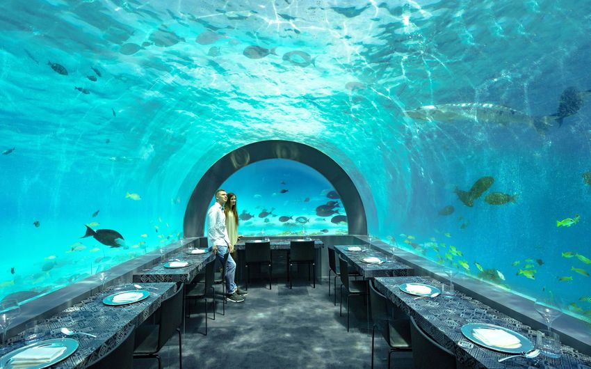 1-6 Подводный ресторан отеля You & Me by Cocoon Maldives.jpg