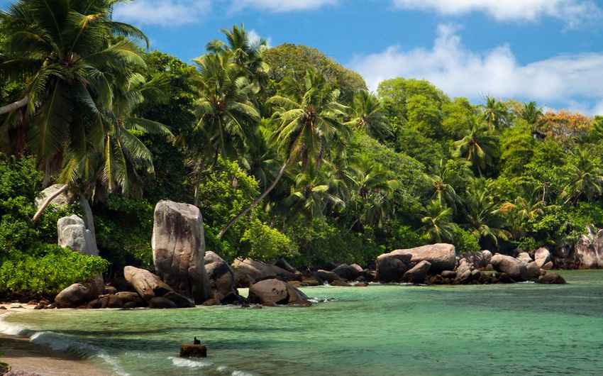 2-2 Пиратские джунгли на Сейшелах.jpg 2-2 Пиратские джунгли на Сейшелах.jpg