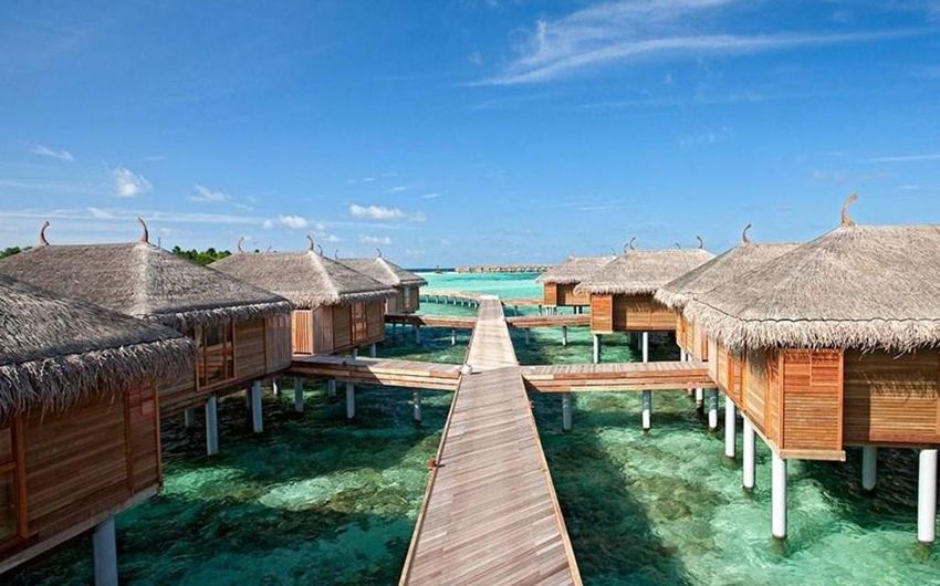 5-4 Constance Moofushi.jpg