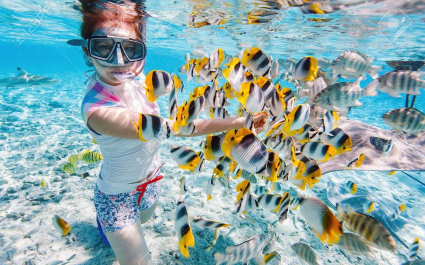 4-3 Кормление рыб на Мальдивах.jpg