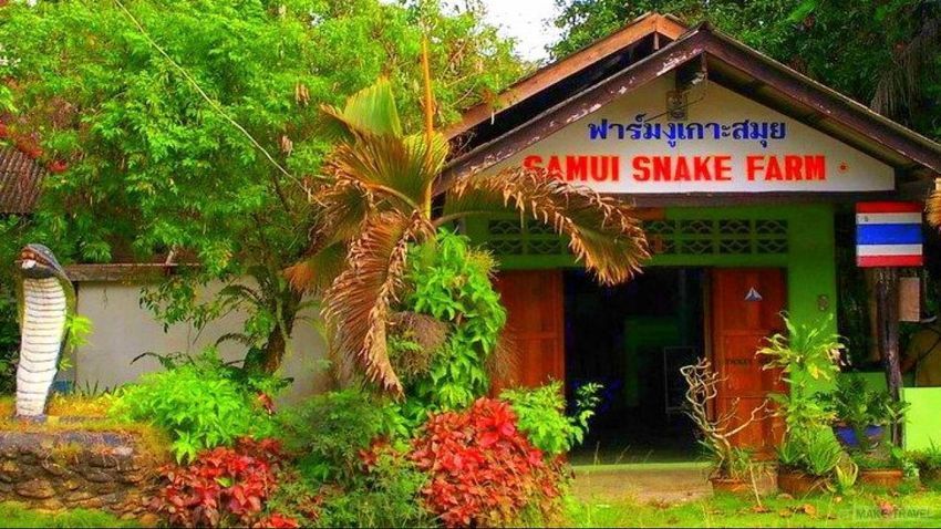 19 Samui Snake Farm.jpg