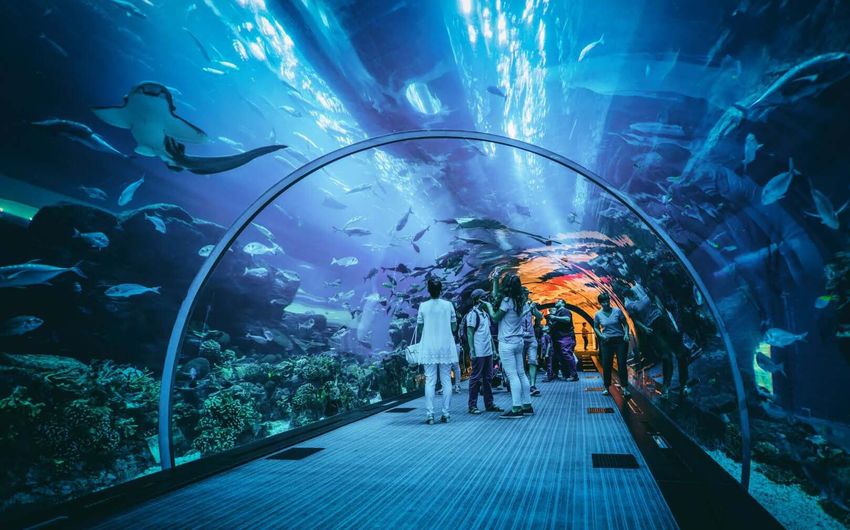3-10 Дубайский аквариум и подводный зоопарк.jpg