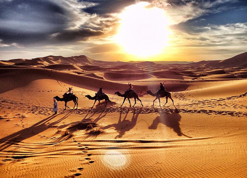Merzouga Марокко. Марокко.сахара.Мерзуга.. Марокко пустыня сахара. Караван марокканских верблюдов дромедаров. Арабский оазис