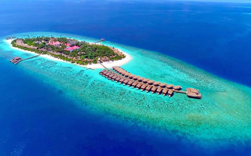 2-6 Домашний риф на Мальдивах.jpg