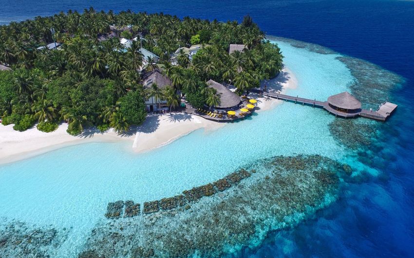 3-2 Angsana Ihuru Resort & Spa Maldives.jpg