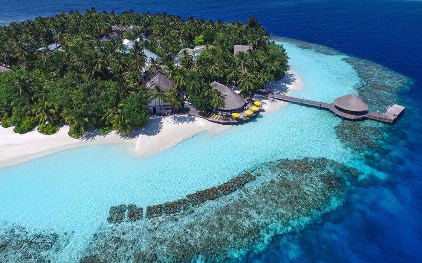 3-2 Angsana Ihuru Resort & Spa Maldives.jpg