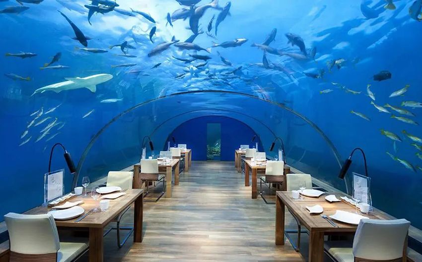 16 Ресторан на Мальдивах.jpg
